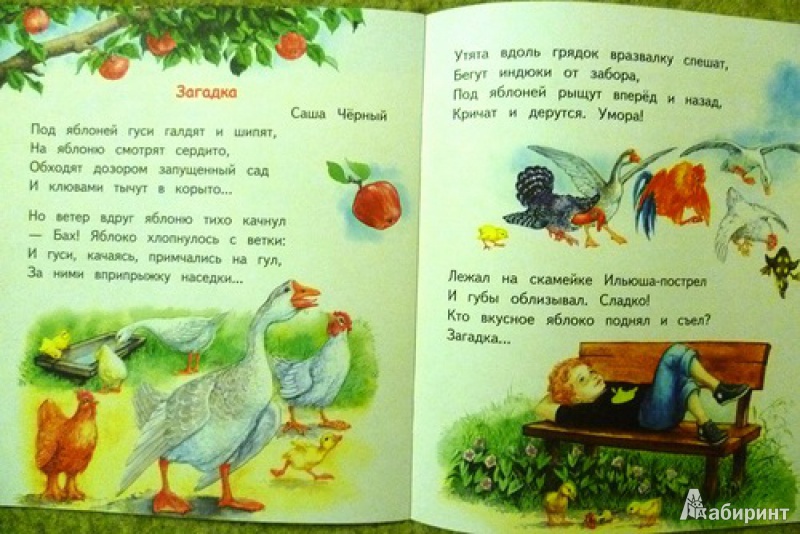 Иллюстрация 5 из 28 для Бабушкино лето | Лабиринт - книги. Источник: alex-sandr