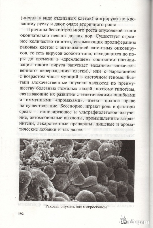 Иллюстрация 6 из 8 для Удивительная генетика - Вадим Левитин | Лабиринт - книги. Источник: Anjie
