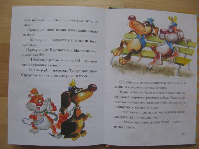 Иллюстрация 6 из 19 для Котовасия на каруселях - Евгения Малинкина | Лабиринт - книги. Источник: Paola=