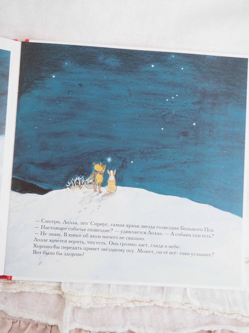 Иллюстрация 44 из 54 для Зима мишки Бруно - Гунилла Ингвес | Лабиринт - книги. Источник: Шурыгина  Татьяна