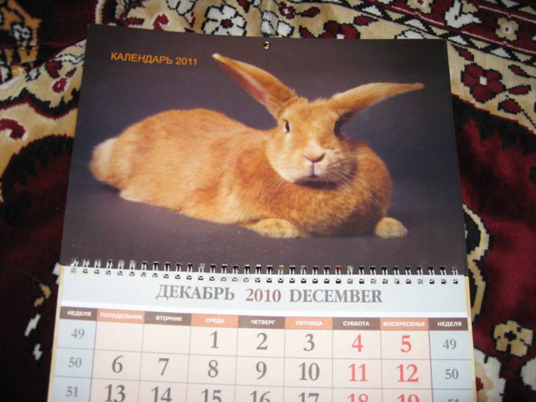 Иллюстрация 2 из 3 для Календарь "Рыжий кролик" квартальный 2011 | Лабиринт - сувениры. Источник: Holodec25