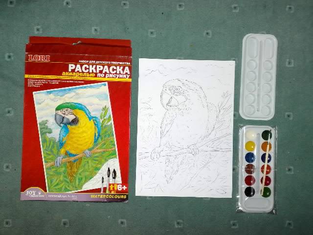 Иллюстрация 2 из 4 для Раскраска акварелью: Попугай (Рн022) | Лабиринт - игрушки. Источник: bagirchik