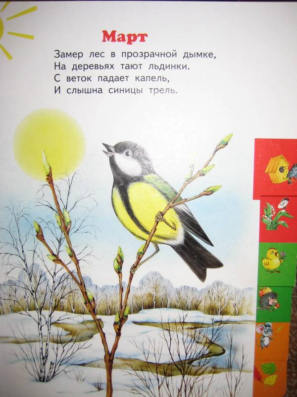 Иллюстрация 19 из 21 для Азбука времен года - Владимир Степанов | Лабиринт - книги. Источник: ШарТа