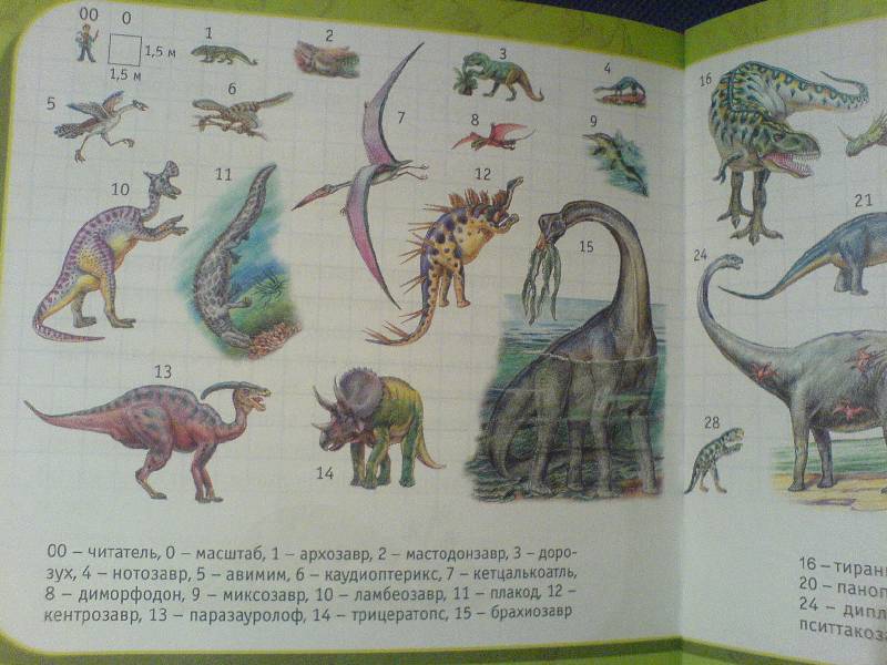 Иллюстрация 15 из 17 для Про динозавров - Мария Диденко | Лабиринт - книги. Источник: Киви