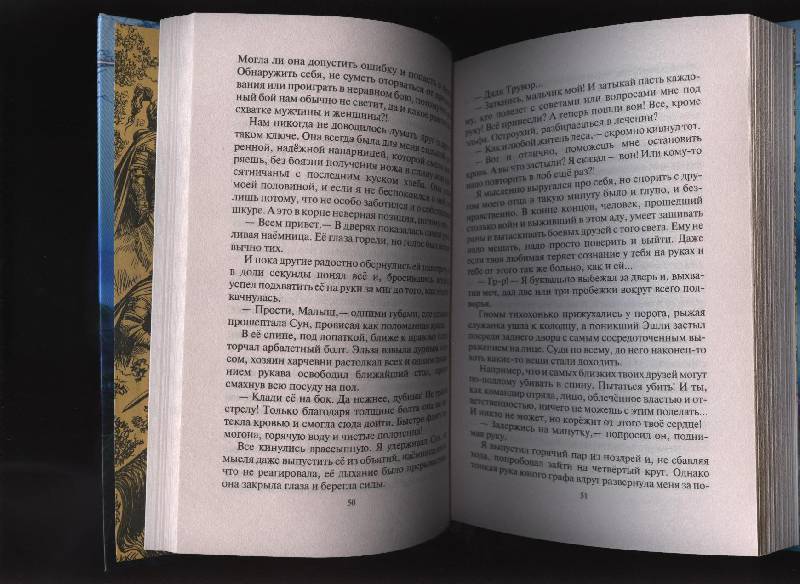 Иллюстрация 15 из 22 для Ааргх на троне - Андрей Белянин | Лабиринт - книги. Источник: Романтик-Негодяй