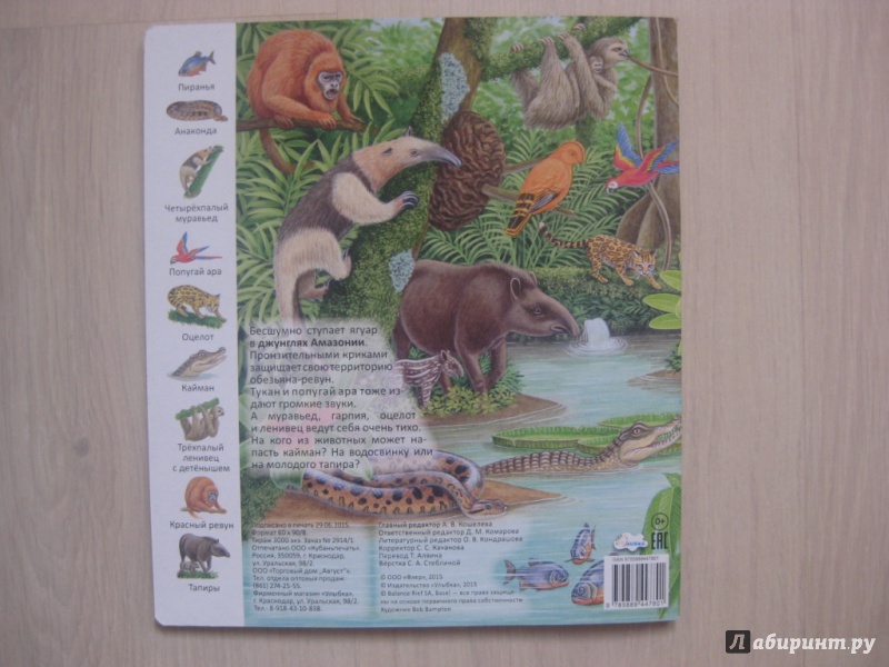 Иллюстрация 8 из 39 для Животные и растения тропических лесов | Лабиринт - книги. Источник: Ведникова  Светлана
