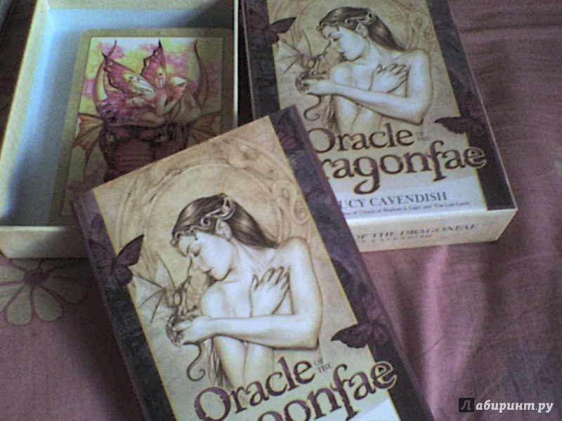 Иллюстрация 2 из 9 для Oracle of the Dragonfae (книга + 43 карты) - Lucy Cavendish | Лабиринт - книги. Источник: Роза с шипами