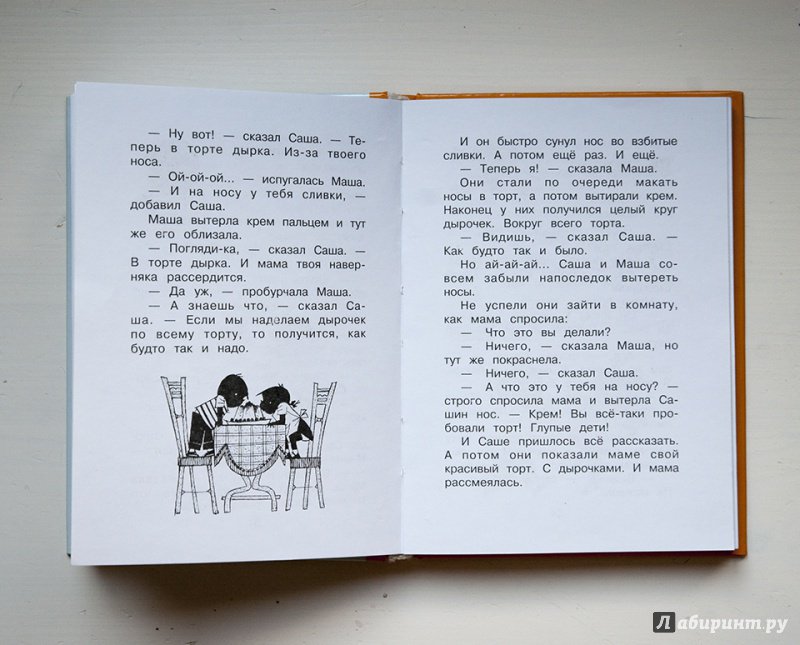 Иллюстрация 9 из 12 для Саша и Маша 2. Рассказы для детей - Анни Шмидт | Лабиринт - книги. Источник: Строчинская  Надежда