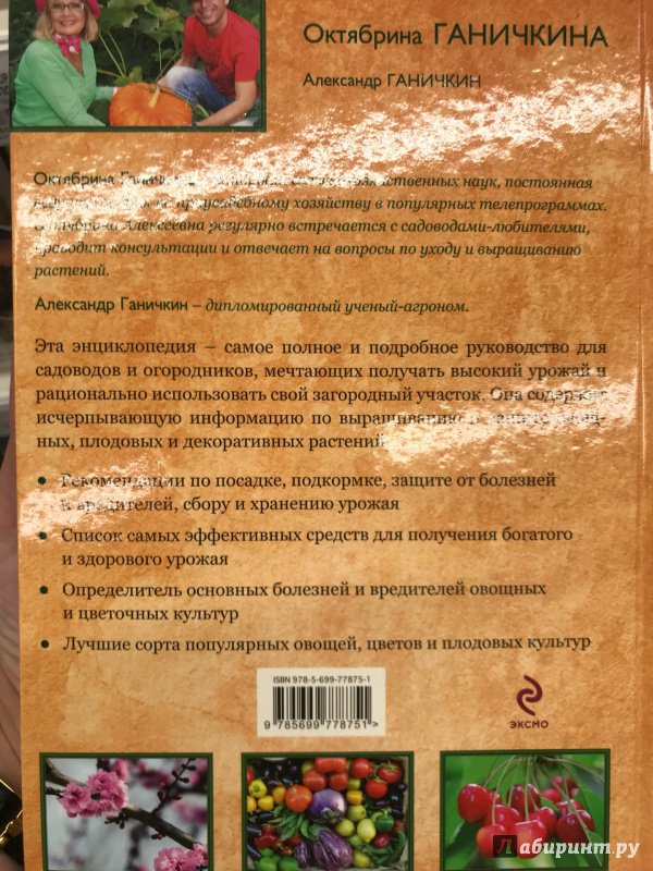 Иллюстрация 11 из 21 для Новая энциклопедия садовода и огородика - Ганичкина, Ганичкин | Лабиринт - книги. Источник: Hello