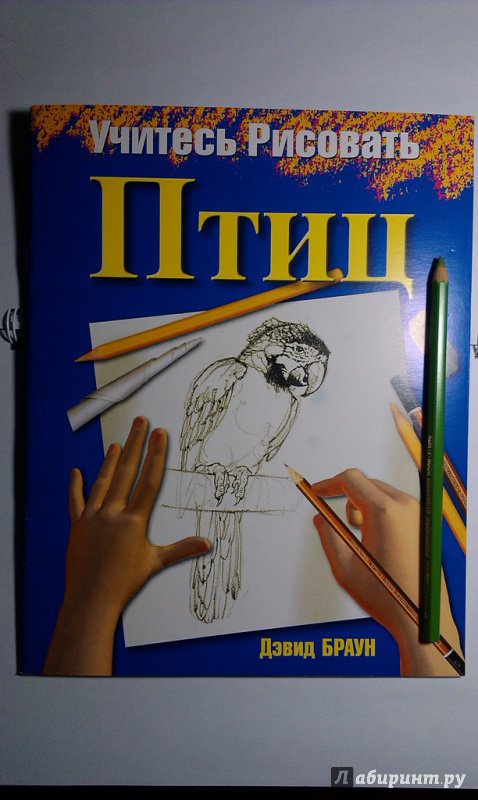 Иллюстрация 20 из 27 для Учитесь рисовать птиц - Дэвид Браун | Лабиринт - книги. Источник: ss0263042