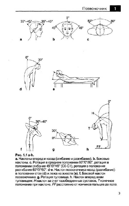 Иллюстрация 4 из 23 для Клиническое исследование костей, суставов и мышц - Клаус Букуп | Лабиринт - книги. Источник: Юта