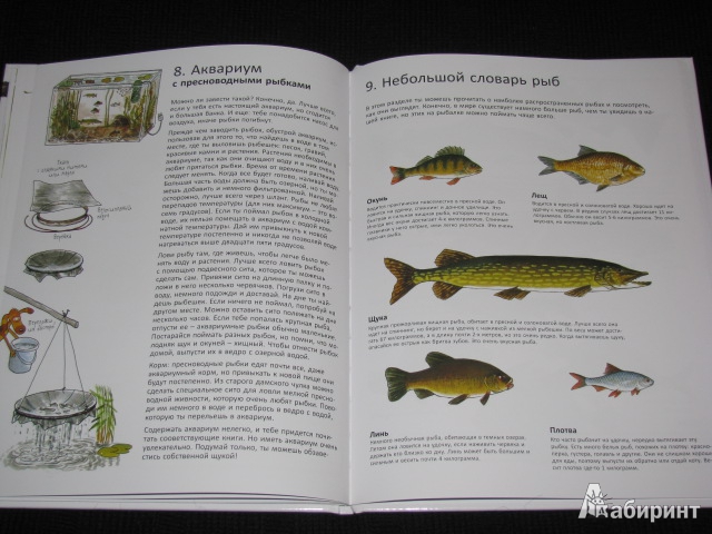 Иллюстрация 60 из 60 для Книга для начинающих великих рыболовов - Нурдквист, Вернер-Карлссон | Лабиринт - книги. Источник: Nemertona