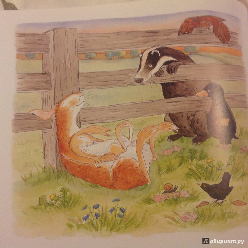 Иллюстрация 40 из 82 для Куда уложить зайчонка? - Шеридан Кейн | Лабиринт - книги. Источник: Selfishbaby