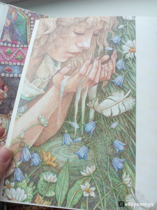 Иллюстрация 18 из 68 для Дикие лебеди - Ханс Андерсен | Лабиринт - книги. Источник: Юлия89