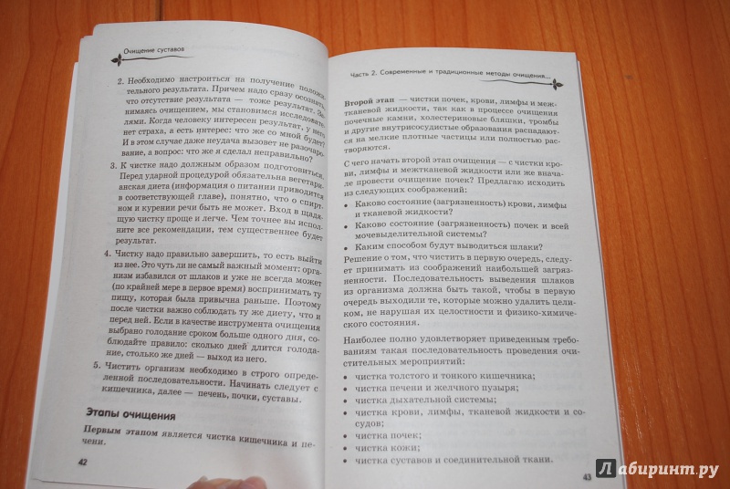 Иллюстрация 15 из 32 для Очищение суставов. Детокс. Жизнь без токсинов - Людмила Рудницкая | Лабиринт - книги. Источник: Нади