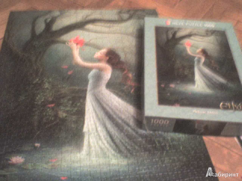 Иллюстрация 5 из 10 для Puzzle-1000 "Девушка с красным цветком" (29523) | Лабиринт - игрушки. Источник: Роза с шипами