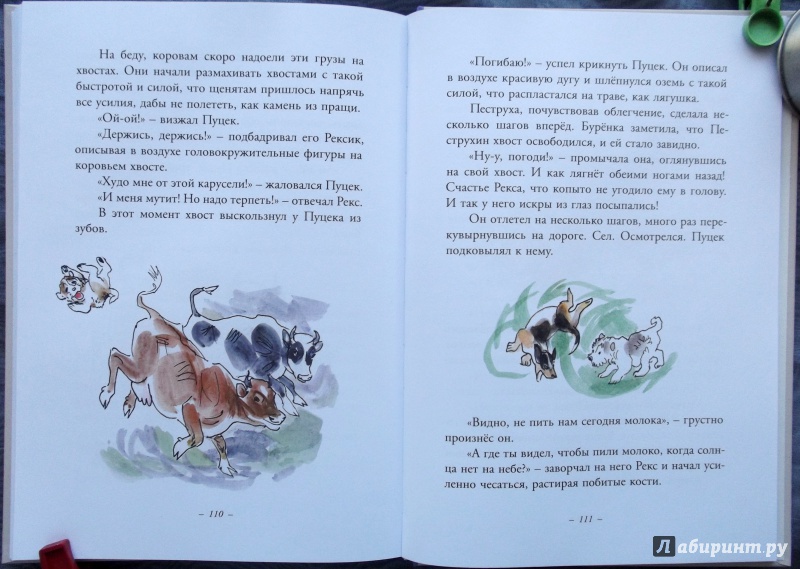 Иллюстрация 43 из 43 для Муха с капризами - Ян Грабовский | Лабиринт - книги. Источник: Агаточка