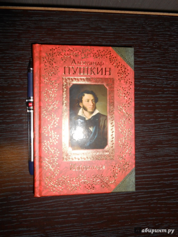 Иллюстрация 2 из 30 для Избранное - Александр Пушкин | Лабиринт - книги. Источник: EksiKas