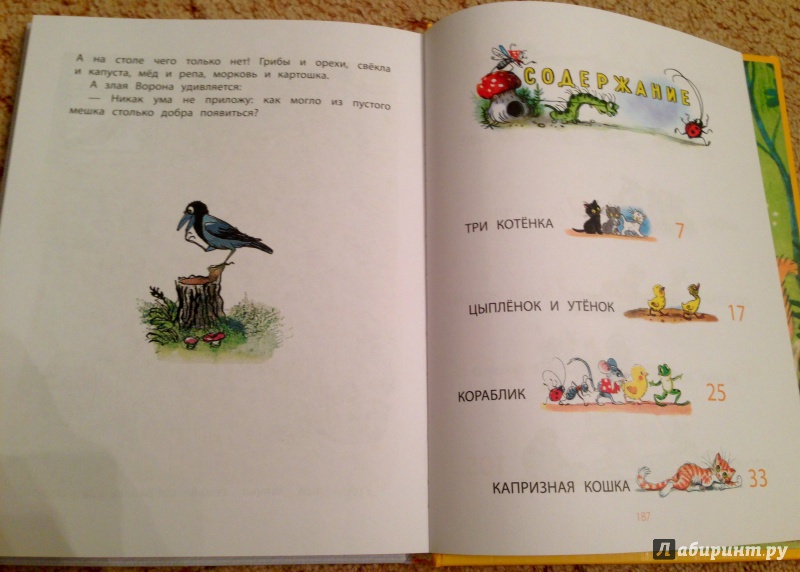 Иллюстрация 16 из 38 для Сказки - Владимир Сутеев | Лабиринт - книги. Источник: Псевдоним