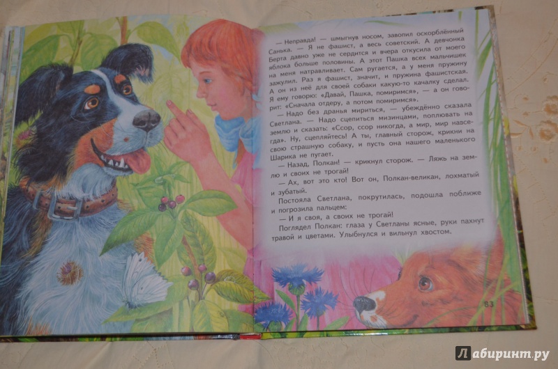 Иллюстрация 23 из 34 для Рассказы и сказки - Аркадий Гайдар | Лабиринт - книги. Источник: Deva*Ira
