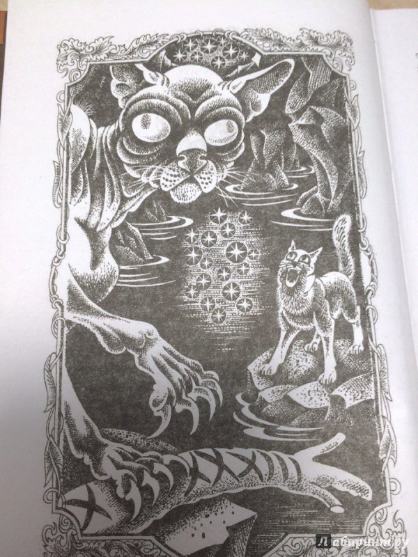 Иллюстрация 3 из 32 для Темная река - Эрин Хантер | Лабиринт - книги. Источник: Таганчикова  Елизавета Игоревна