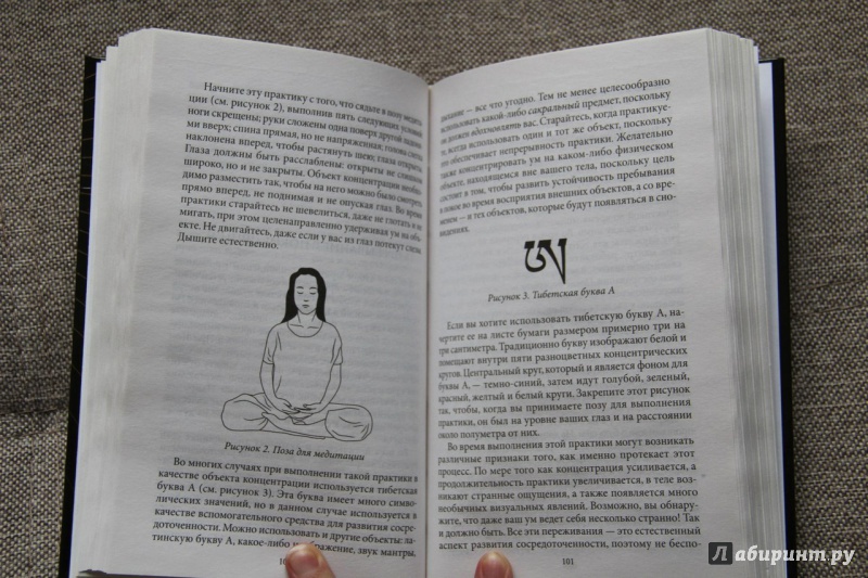 Иллюстрация 14 из 17 для Тибетская йога сна и сновидений - Тендзин Ринпоче | Лабиринт - книги. Источник: Честер