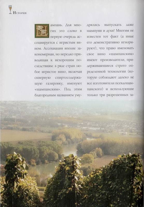 Иллюстрация 1 из 41 для Шампанское и другие игристые вина Франции - Юрий Зыбцев | Лабиринт - книги. Источник: Ялина