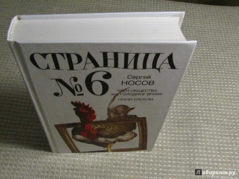 Иллюстрация 19 из 31 для Страница номер шесть. Член общества, или Голодное время; Грачи улетели - Сергей Носов | Лабиринт - книги. Источник: leo tolstoy