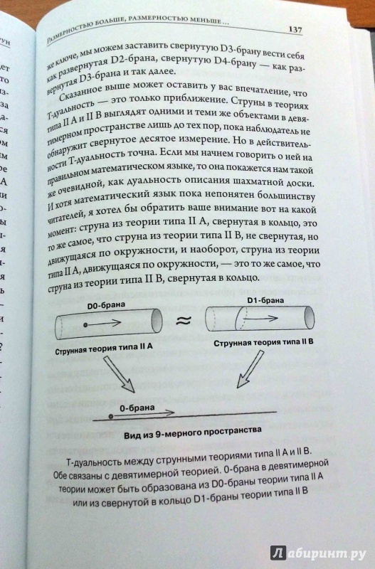 Иллюстрация 11 из 49 для Маленькая книга о большой теории струн - Стивен Габсер | Лабиринт - книги. Источник: Natik1105