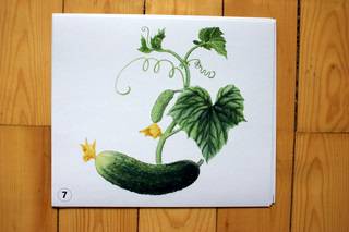 Иллюстрация 9 из 15 для Овощи | Лабиринт - книги. Источник: Клевлеева  Ирина Владимировна