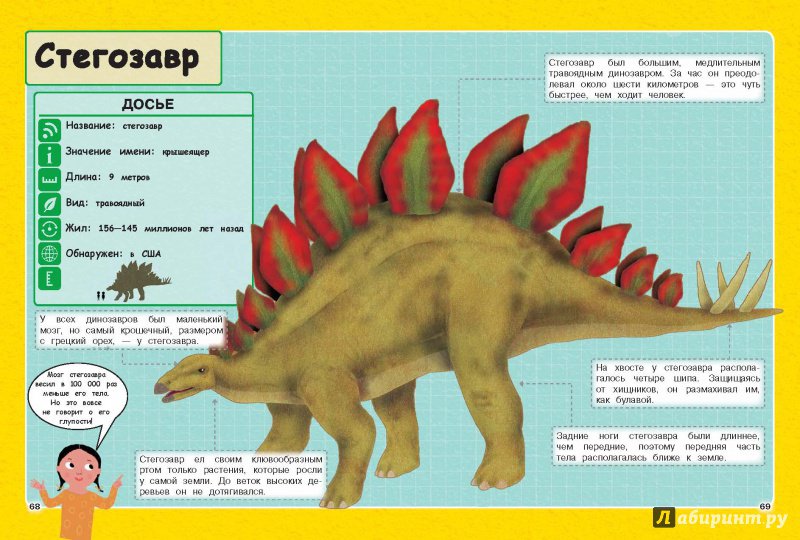 Nowhere to run stegosaurus rex. Динозавры путешествуйте назад в прошлое. Динозавры путешествуйте назад в прошлое книга. Стегозавр в сравнении с человеком. Стегозавр интересные факты для детей.