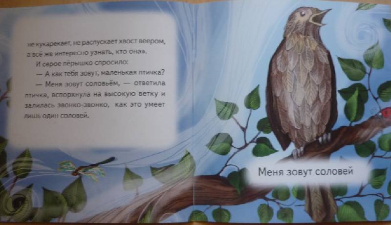Иллюстрация 9 из 15 для Сказка о сером перышке - Рахиль Баумволь | Лабиринт - книги. Источник: Owl