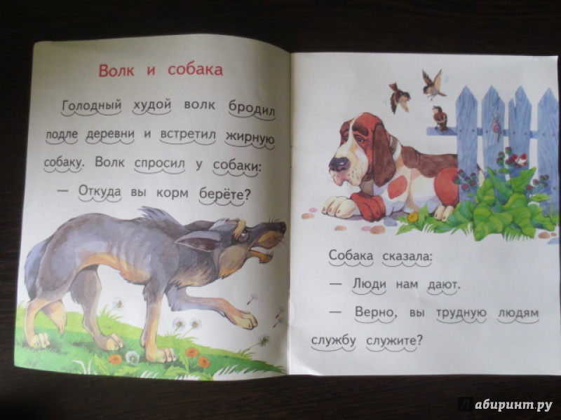 Иллюстрация 9 из 24 для Волк и собака - Лев Толстой | Лабиринт - книги.  Источник: Анечка