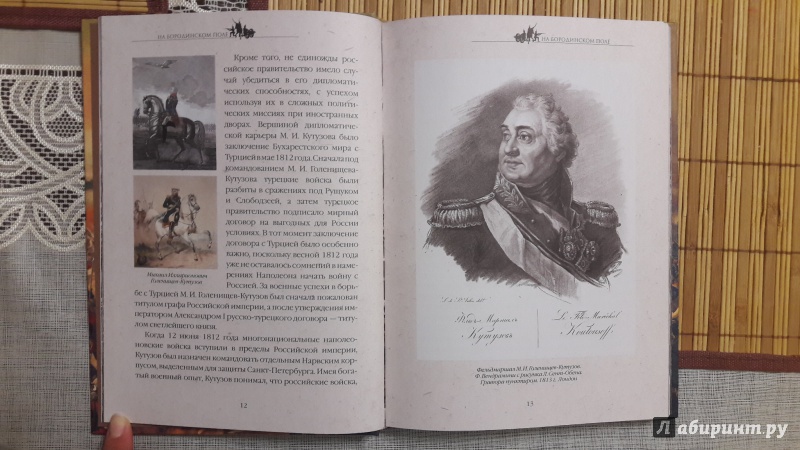 Иллюстрация 32 из 33 для На Бородинском поле - Лада Митрошенкова | Лабиринт - книги. Источник: F Olesya