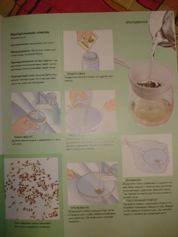 Иллюстрация 6 из 14 для Размножение растений - Миранда Смит | Лабиринт - книги. Источник: Паньков Александр Анатольевич