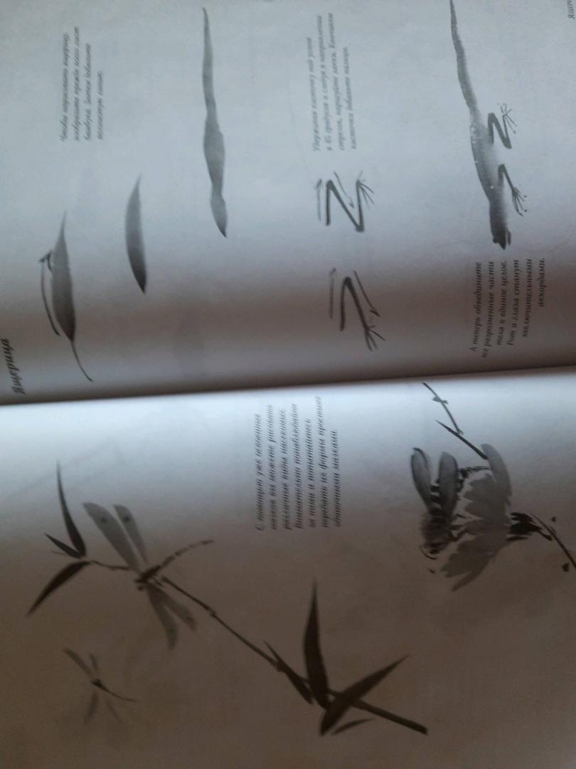 Иллюстрация 20 из 25 для Техника японской живописи суми-ё - Иоланда Мэйхолл | Лабиринт - книги. Источник: Першина  Вера