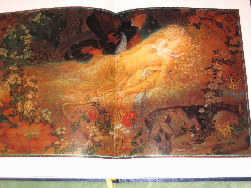 Иллюстрация 37 из 72 для Спящая красавица. Золушка - Шарль Перро | Лабиринт - книги. Источник: Трухина Ирина