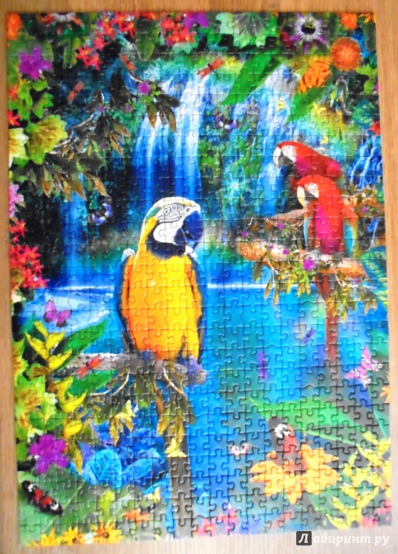 Иллюстрация 5 из 6 для Пазл-500 Тропические птицы | Лабиринт - игрушки. Источник: JaaSv