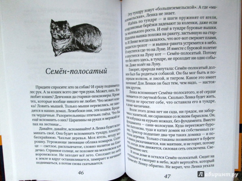 Иллюстрация 11 из 26 для Серая шкурка - Юрий Яковлев | Лабиринт - книги. Источник: Зеленая шляпа