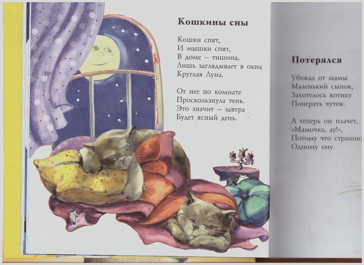 Иллюстрация 13 из 16 для Кошкины сказки - Игорь Карде | Лабиринт - книги. Источник: LanaEr