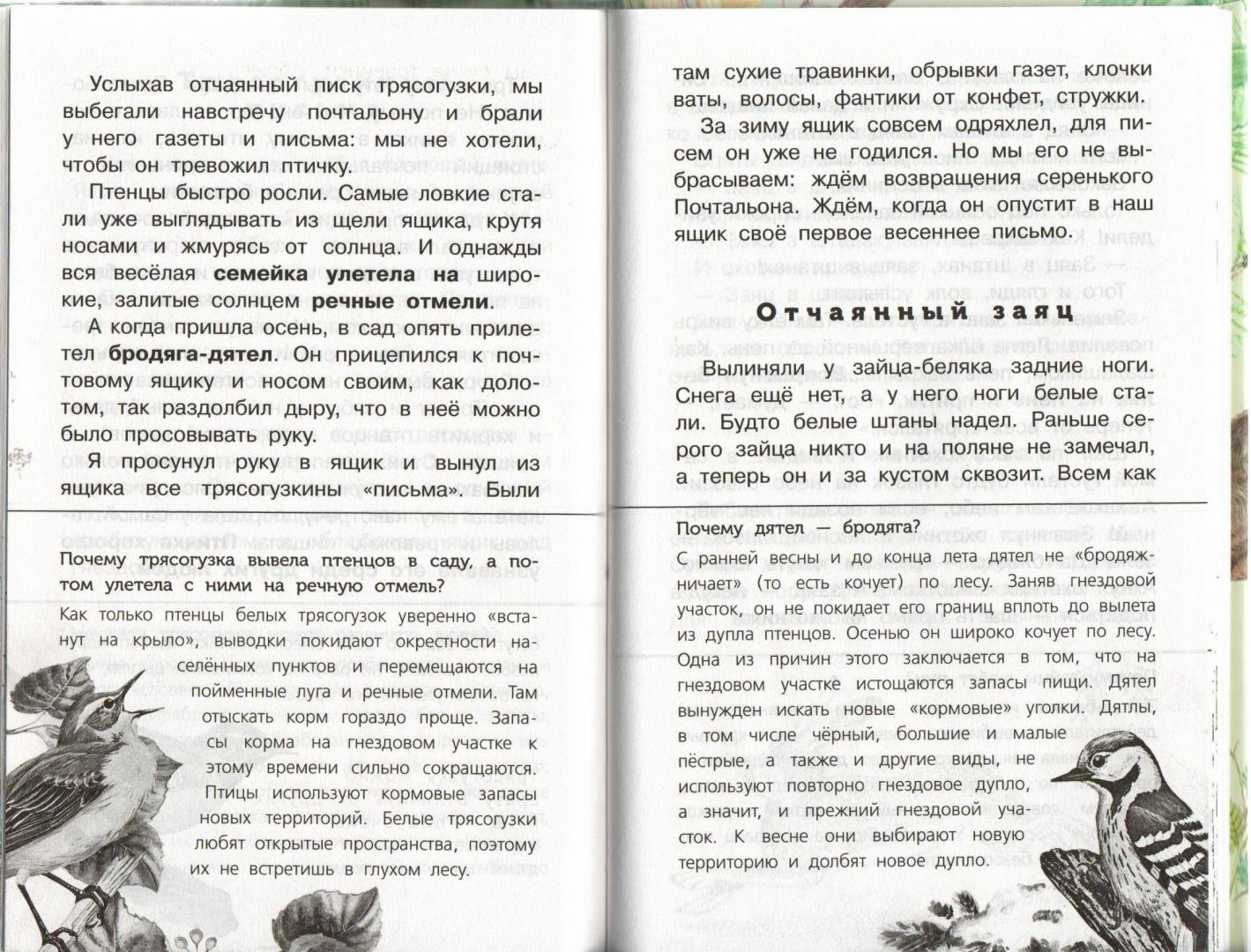 Иллюстрация 18 из 24 для Лесные тайнички - Николай Сладков | Лабиринт - книги. Источник: Лабиринт