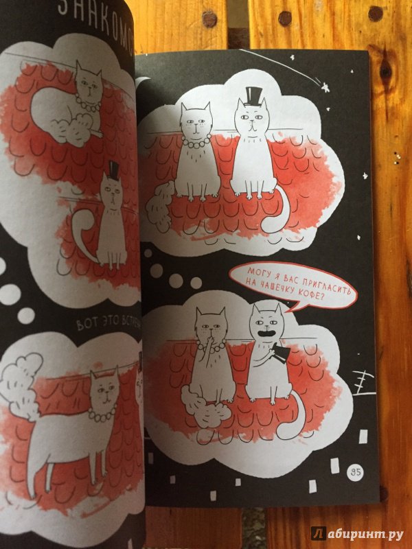 Иллюстрация 30 из 32 для Скетчбук для тех, кто любит кошек | Лабиринт - канцтовы. Источник: Krazy