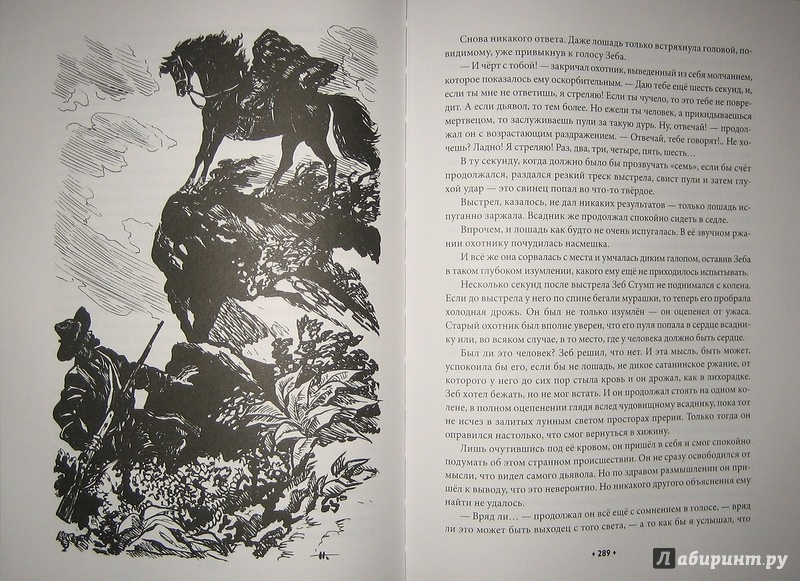 Иллюстрация 30 из 57 для Всадник без головы - Рид Майн | Лабиринт - книги. Источник: Трухина Ирина