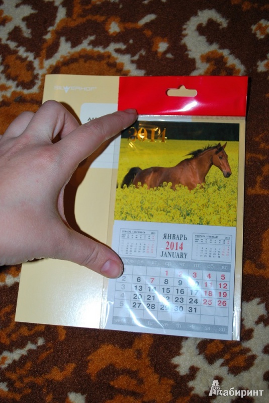 Иллюстрация 2 из 2 для Календарь на 2014 год с магнитным креплением "Лошадь в цветах" (32009) | Лабиринт - сувениры. Источник: Журавлёва  Анна