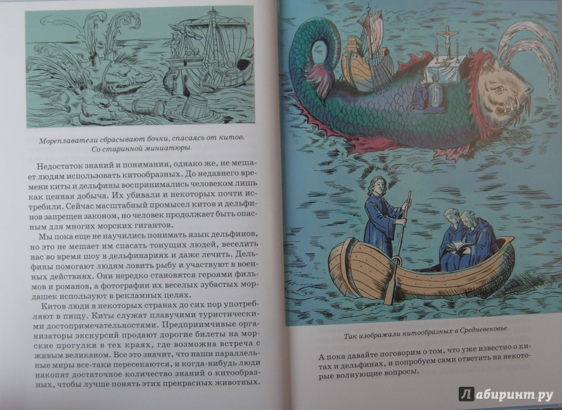 Иллюстрация 5 из 21 для Дельфины и киты - Юлия Дунаева | Лабиринт - книги. Источник: Соловьев  Владимир
