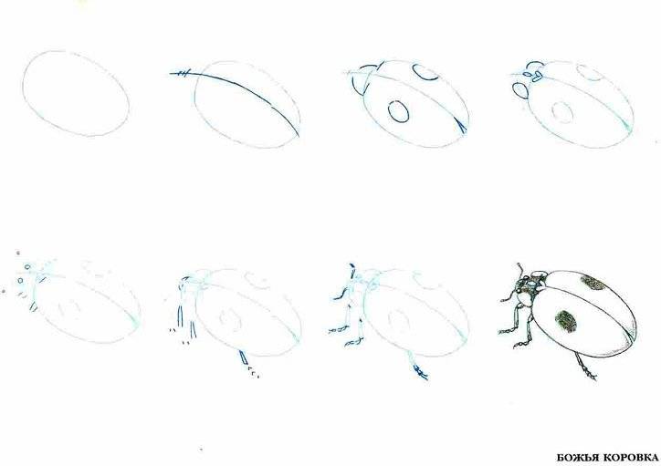 Иллюстрация 5 из 10 для Рисуем 50 насекомых - Эймис, Барнс | Лабиринт - книги. Источник: Спанч Боб