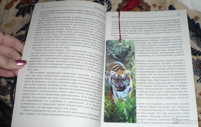 Иллюстрация 2 из 4 для 3D Закладка "Тигр" (BkH019) | Лабиринт - канцтовы. Источник: Дробышева  Галина Ивановна