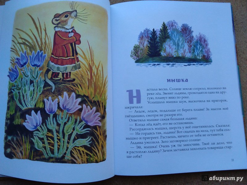 Северная сказка книги