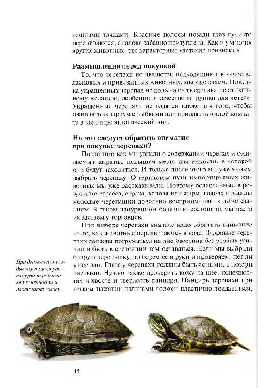 Иллюстрация 6 из 16 для Красноухие черепахи. Содержание и уход - Райнер Прашага | Лабиринт - книги. Источник: Юта