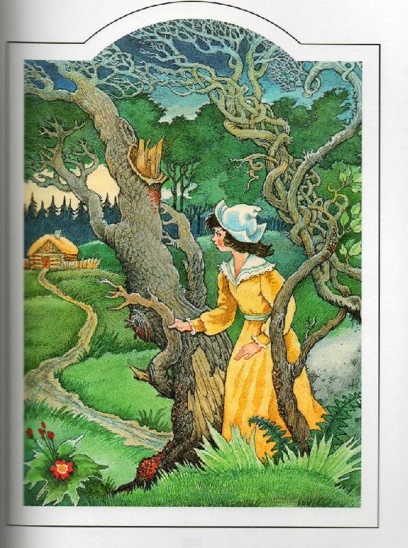 Иллюстрация 11 из 41 для Зарубежные сказки | Лабиринт - книги. Источник: Zhanna